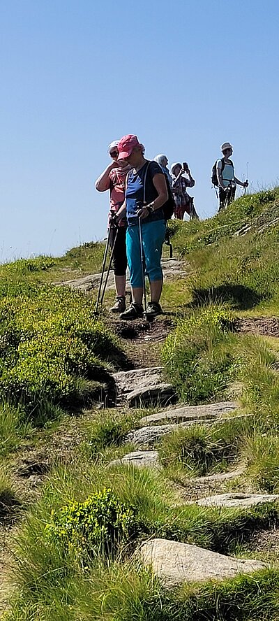 Wanderung der Naturfreunde - Winklerner Almsee - Strasskopf