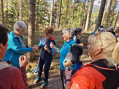 Wanderung der Naturfreunde - Römerweg Iselsberg