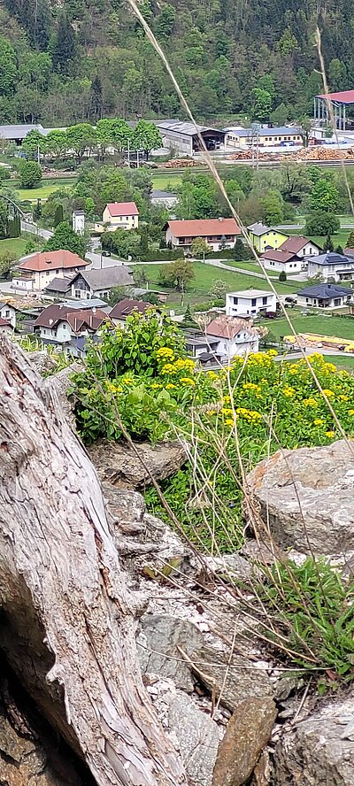 Wanderung der Naturfreunde - Sachsenburg