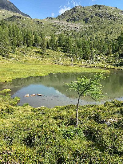 Wanderung der Naturfreunde - Winklerner Almsee - Strasskopf