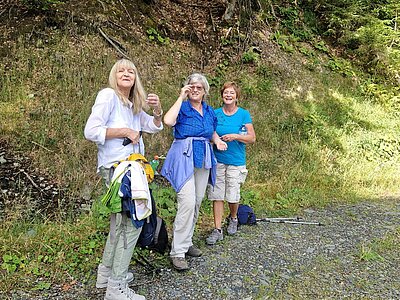 Wanderung der Naturfreunde - Mauthner Alm und Enzianhütte