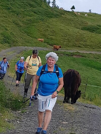 Wanderung der Naturfreunde - Zollnerseehütte - See - Kleiner Trieb