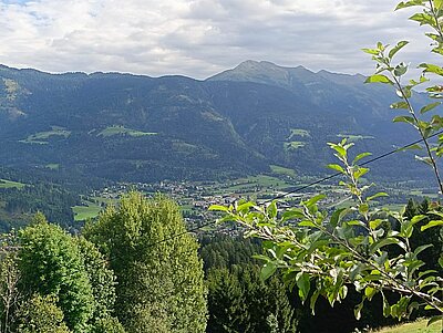 Wanderung der Naturfreunde - Mauthner Alm und Enzianhütte