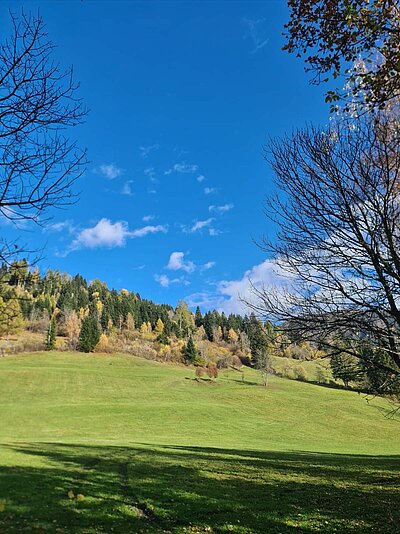 Wanderung der Naturfreunde - Römerweg Iselsberg