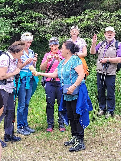 Wanderung der Naturfreunde - PROSSEGGKLAMM MATREI