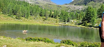 Wanderung der Naturfreunde - Winklerner Almsee - Strasskopf