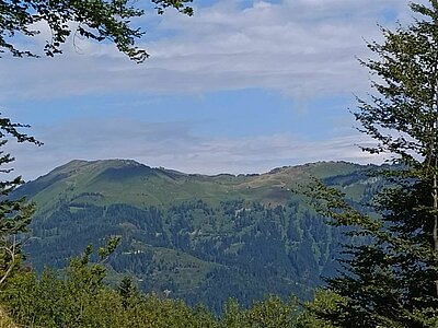 Wanderung der Naturfreunde - Mauthner Alm und Enzianhütte