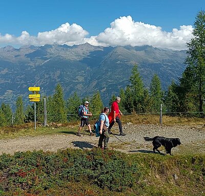 Wanderung der Naturfreunde - Böses Weibele und Hochstein Rundwanderung