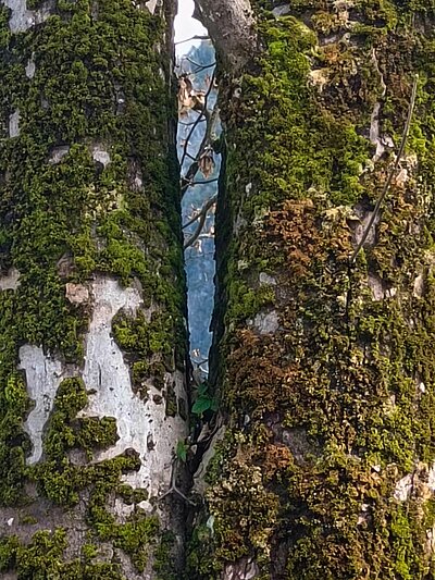 Rundwanderung der Naturfreunde - Lienz-Leisach-Amlach-Lienz