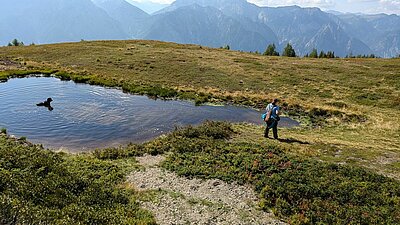 Wanderung der Naturfreunde - Böses Weibele und Hochstein Rundwanderung