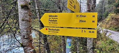 Wanderung der Naturfreunde - Islitzeralm