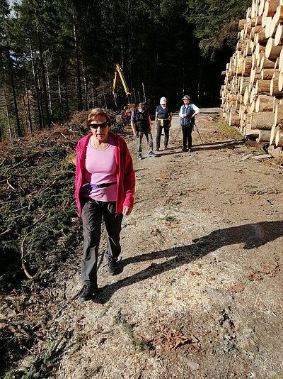 Wanderung der Naturfreunde - Römerweg Iselsberg