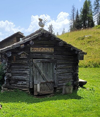 Wanderung der Naturfreunde - Winklerner Almsee - Strasskopf