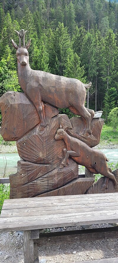 Radausflug der Naturfreunde zum Toblacher See