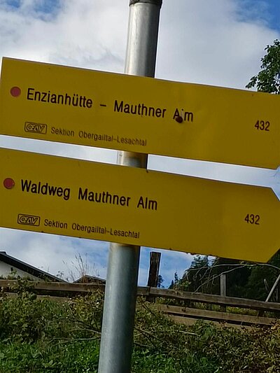 Wanderung der Naturfreunde - Mauthner Alm und Enzianhütte