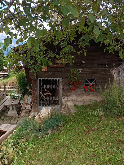 Wanderung der Naturfreunde - Vogelerlebnisweg Thurn