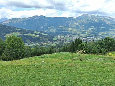 Wanderung der Naturfreunde - Mauthner Alm und Enzianhütte