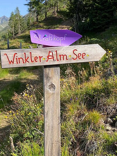 Wanderung der Naturfreunde - Winklerner Almsee - Strasskopf