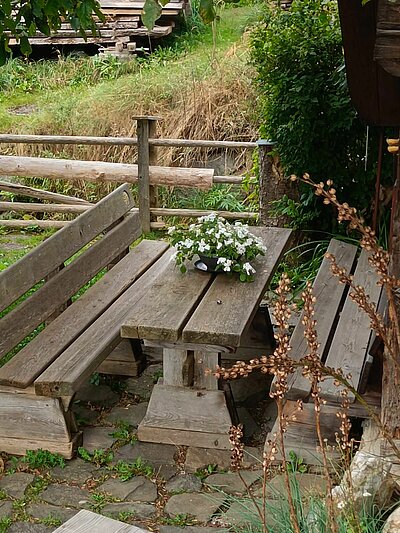 Wanderung der Naturfreunde - Vogelerlebnisweg Thurn