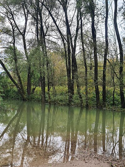 Wanderung der Naturfreunde - Lavant Waldpfad + Kirchen