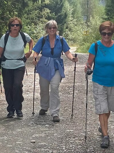 Wanderung der Naturfreunde - Mauthner Alm und Enzianhütte