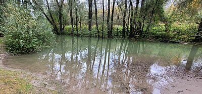 Wanderung der Naturfreunde - Lavant - Waldpfad und Kirchen