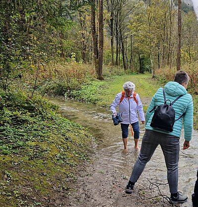 Wanderung der Naturfreunde - Lavant - Waldpfad und Kirchen