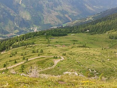 Wanderung der Naturfreunde - Speikbodenhütte - Speikboden