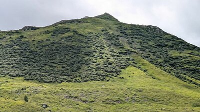 Wanderung der Naturfreunde - Zollnerseehütte - See - Kleiner Trieb