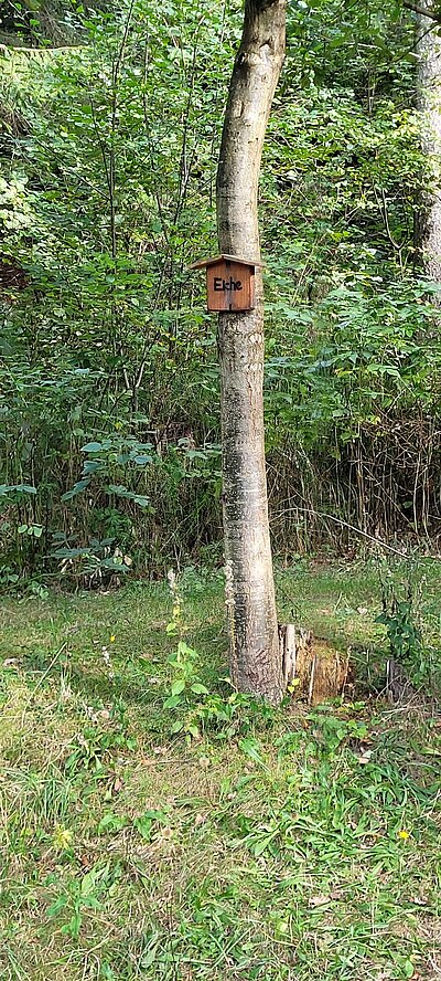 Wanderung der Naturfreunde - Vogelerlebnisweg Thurn