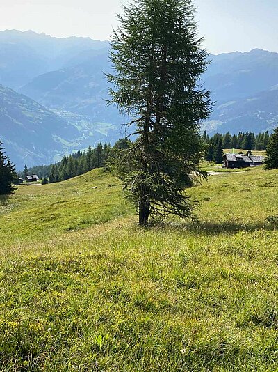 Wanderung der Naturfreunde - Winklerner Almsee - Strasskopf