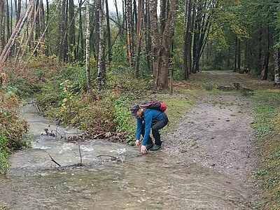 Wanderung der Naturfreunde - Lavant - Waldpfad und Kirchen