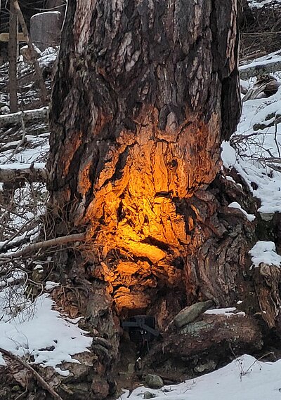 Ausflug der Naturfreunde nach Mallnitz