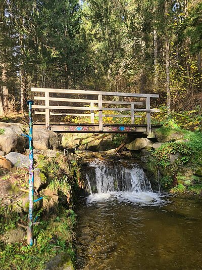 Wanderung der Naturfreunde - Römerweg Iselsberg