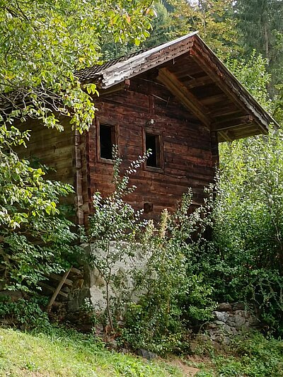 Wanderung der Naturfreunde - Vogelerlebnisweg Thurn