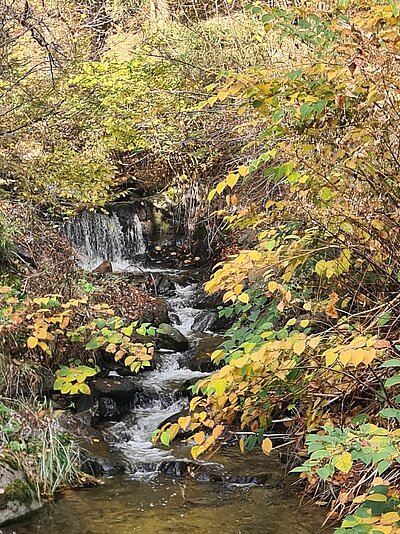 Wanderung der Naturfreunde - Römerweg Iselsberg