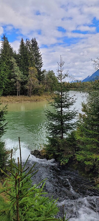 Wanderung der Naturfreunde - Kollreiderweg und Tassenbacher Stausee Umrundung