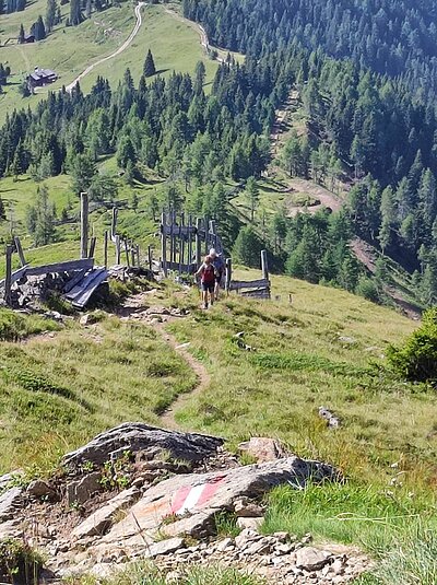 Wanderung der Naturfreunde - Winklerner Almsee - Strasskopf