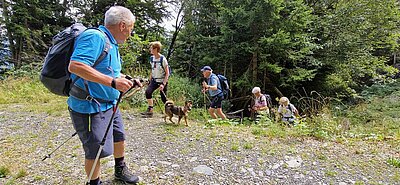 Wanderung der Naturfreunde - Mauthner Alm und Enzianhütte