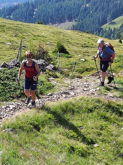 Wanderung der Naturfreunde - Winklerner Almsee - Strasskopf