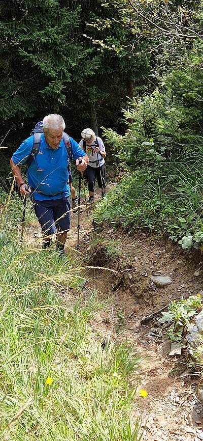 Wanderung der Naturfreunde - Mauthner Alm und Enzianhütte