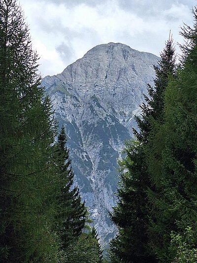 Wanderung der Naturfreunde - Mauthner Alm und Enzianhütte