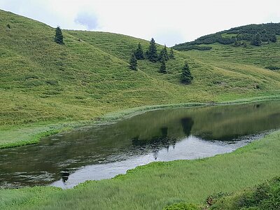 Wanderung der Naturfreunde - Zollnerseehütte - See - Kleiner Trieb