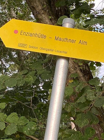 Wanderung der Naturfreunde - Mauthner Alm und Enzianhütte