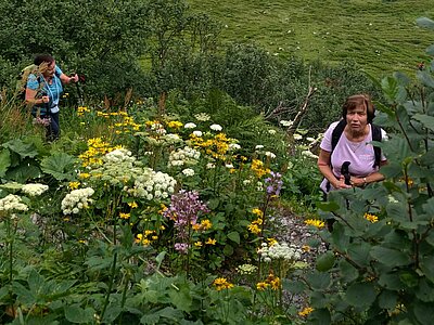 Wanderung der Naturfreunde - Zollnerseehütte - See - Kleiner Trieb