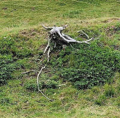 Wanderung der Naturfreunde - Zollnerseehütte - See - Kleiner Trieb