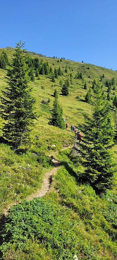 Wanderung der Naturfreunde - Winklerner Almsee - Strasskopf