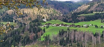 Wanderung der Naturfreunde - Kollreiderweg und Tassenbacher Stausee Umrundung