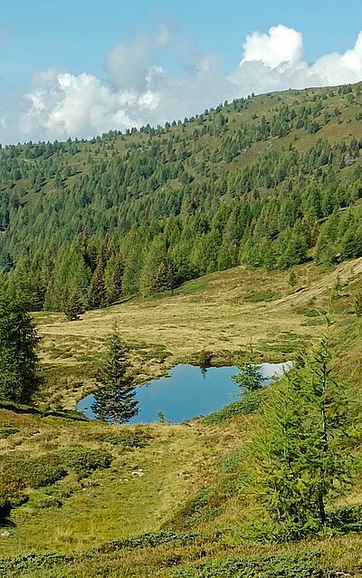 Wanderung der Naturfreunde - Böses Weibele und Hochstein Rundwanderung