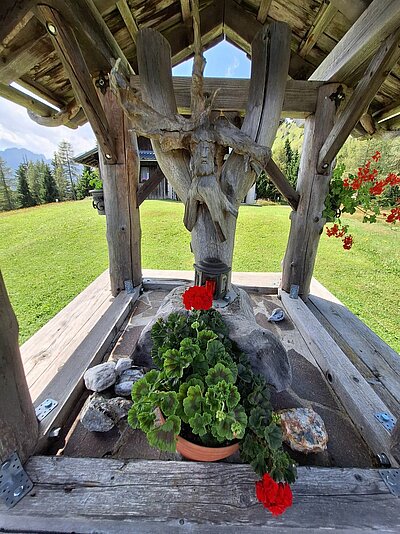 Wanderung der Naturfreunde - Mauthner Alm und Enzianhütte